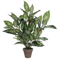 planta artificial dieffenbachia verde  h70xb55xl55cm