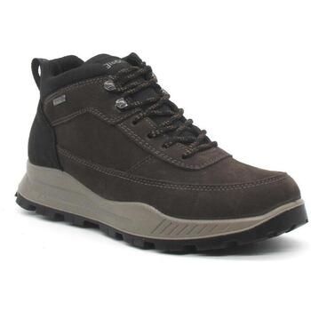 IgI&CO Botines 8629600 para hombre