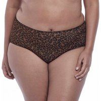 Kayla Brief