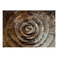 papel pintado 3d - rosa del desierto 300x210 cm