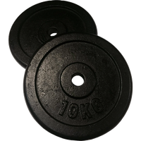 discos de pesas de hierro 2 x 25kg - 15kg 30mm - 10 kg