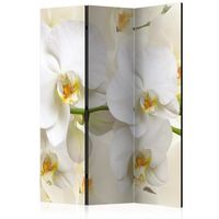 biombo - orchid branch 135x172 cm