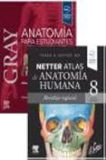 lote gray anatomia estudiantes  netter atlas