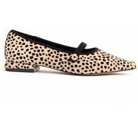 montevita bailarinas 96701 para mujer