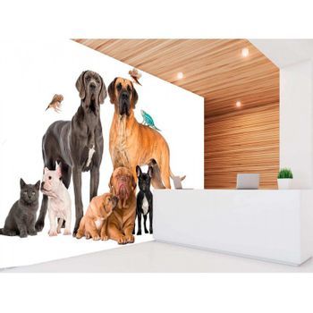 Fotomural Vinilo Perros Gatos Y Pájaros 400 X 300 Cm