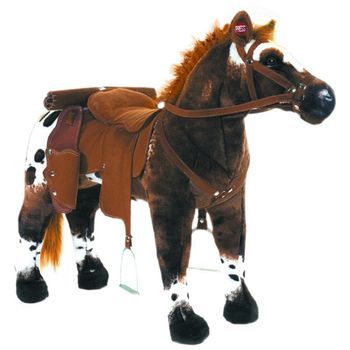 Caballo De Vaquero Anglo Árabe