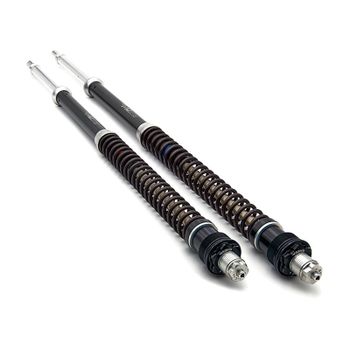 Cartucho de horquilla Triumph Thruxton -'15 Matris F15K kit