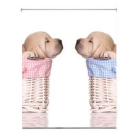 estoralis - estor enrollable translucido  estampado animales  150 x 180 cm anchoalto tamano tela 147 x 175 cm  a-1063 unico