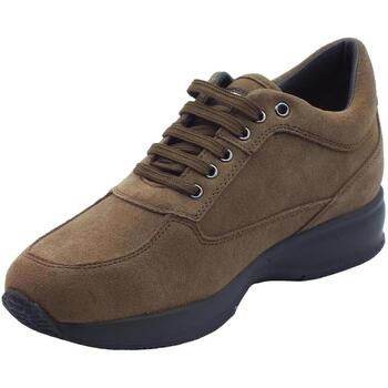 Lumberjack Botines Raul SM01305 DK para hombre