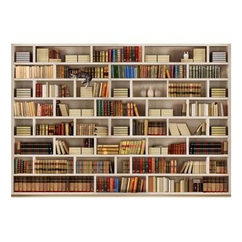 Papel Pintado 3d - Biblioteca Casera (400x280 Cm)