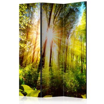 Biombo - Forest Hideout (135x172 Cm)