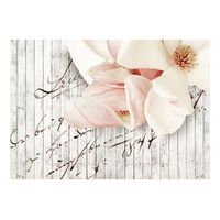 papel pintado 3d - love letter 350x245 cm