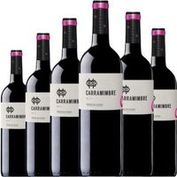 carramimbre roble vino tinto tempranillo con crianza breve en ro 75 cl 145  pack 6 botellas
