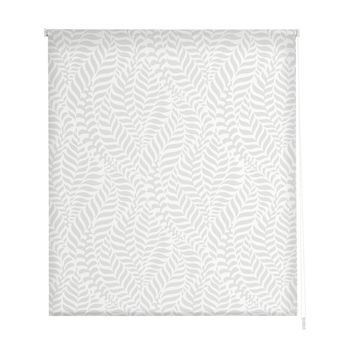 Estoralis - Estor Enrollable Translucido | Estampado Texturas | 160 X 180 Cm (ancho/alto) Tamaño Tela 157 X 175 Cm | T-4073 Unico