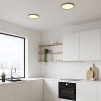 plafon de techo led oja 29 dim 18w