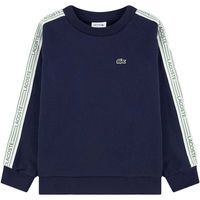 lacoste jersey gt59813 para nina