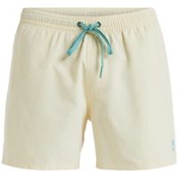 quiksilver banador banador everyday 15 hombre para hombre