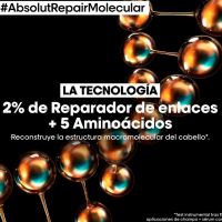 loreal professionnel champus absolut repair molecular shampoo champu absolut repair molecular apto para todo tipo de cabello danado