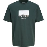 jack  jones camiseta 12253960 jorvesterbro picture tee ss crew jnr forest para nino