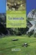 la montana ecoguia para descubrir la naturaleza
