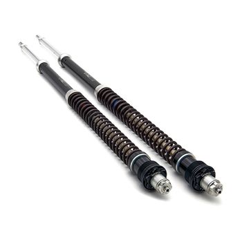 Cartucho de horquilla Suzuki GSX 750 F Matris F15K kit