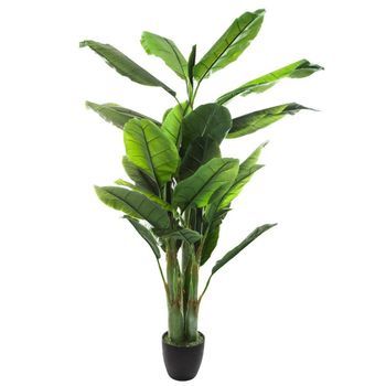 Platanero Artificial H170cm