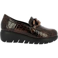 doctor cutillas zapatillas 89555 marron para mujer
