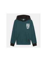 sudadera puma basketball blueprint nino verde
