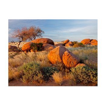 Papel Pintado 3d - Paisaje Africano, Namibia (300x231 Cm)