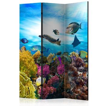 Biombo - Coral Reef (135x172 Cm)