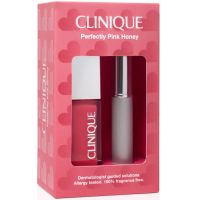 clinique perfectly pink honey lip gift set