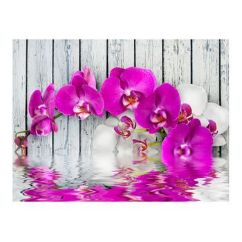Papel Pintado 3d - Violet Orchids With Water Reflexion (400x309 Cm)