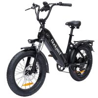 eu direct bicicleta electrica bodywel f20 48v 156ah 250w pico 1500w velocidad maxima recomendada 25kmh neumatico d