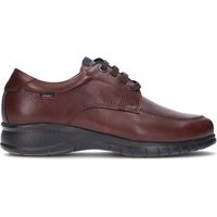 callaghan zapatos hombre 12711 marron para hombre