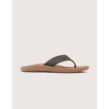 Koala Bay Chanclas Tongs kaki - Kliovan para hombre
