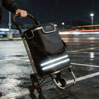 carrito de la compra 3 en 1 plegable con bolsa termica 56l negro