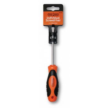 Slotted Individual Screwdriver 5x100mm