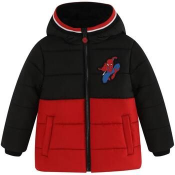 Marvel Cazadora GT61623 para niña