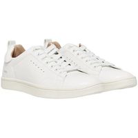 only deportivas moda onlshilo para mujer