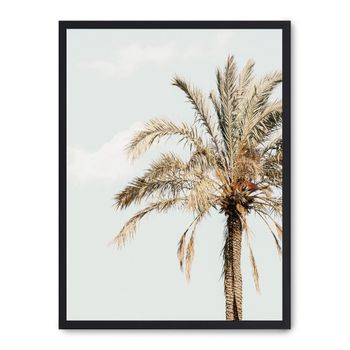 Cuadro palmera y cielo, marco negro, 30x40 cm