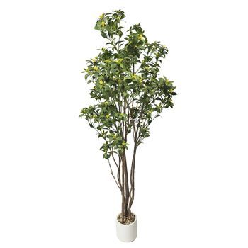 Planta Artificial Osmanthus De 210 cm