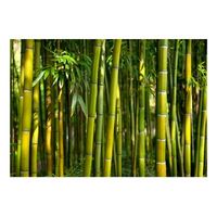 papel pintado 3d - oriental garden 150x105 cm