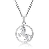 colgante de plata y cadena caballo