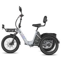 fafrees f20 mate ii triciclo de carga electricobateria de 48v 21ah viene con motor de 250w25kmh