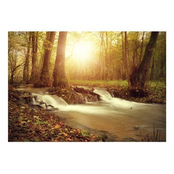 Papel Pintado 3d - Sunny Current (350x245 Cm)