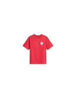 camiseta vans bully ss hombre crimson haze