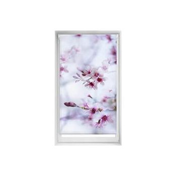 Estor Estampado Easyfix Sin Taladrar - Estor Translúcido Tamaño 85x150 - Estor Sin Herramientas Color Calma | Blindecor