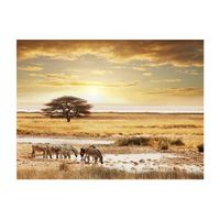 papel pintado 3d - cebras africanas al riego 350x270 cm
