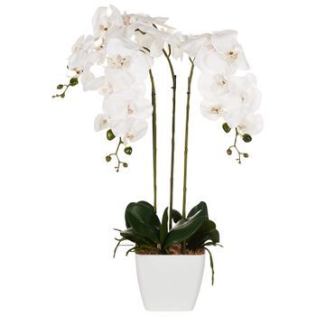 Planta Artificial En Maceta Orquídea Planta De Interior Decoración De Plástico 59 Cm Orchid