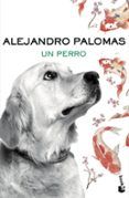 un perro